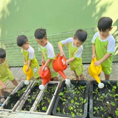 z5017858898576_e06889a3e67837ef2528ebe599f7991a